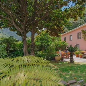 2* Penzion Madeira Surf